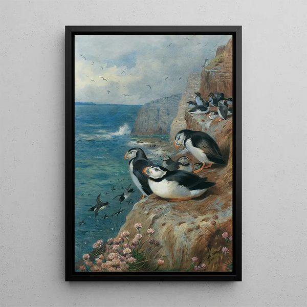 Reproduktion af maleriet Macareux og pingviner torda - Archibald Thorburn