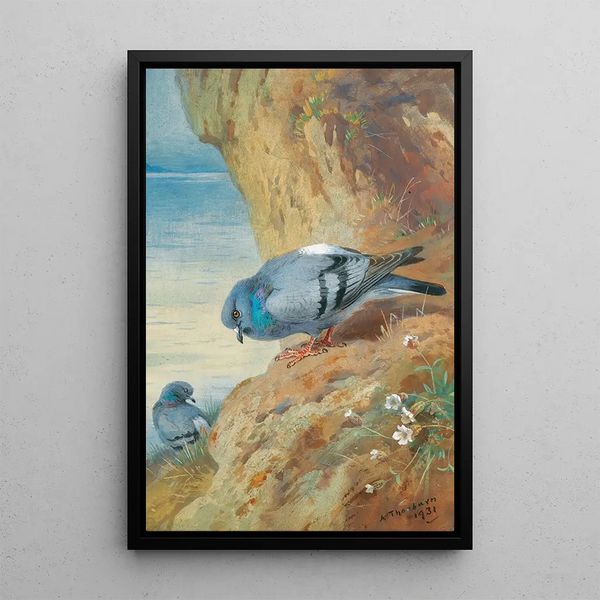 Pigeons bisets - Archibald Thorburn — indrammet kunstværk på væggen