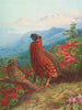 Le Satyre tragopan - Archibald Thorburn — visning af kunstværket
