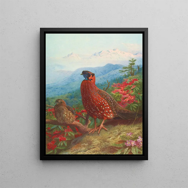 Le Satyre tragopan - Archibald Thorburn — indrammet kunstværk på væggen