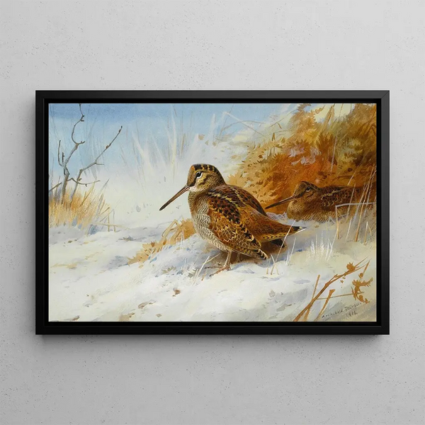 Bécasse d'hiver - Archibald Thorburn — indrammet kunstværk på væggen