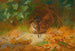 Bécasse - Archibald Thorburn — visning af kunstværket
