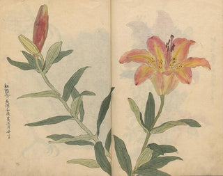 Ariyoshi Kondo - Sketchbook Pl002.webp