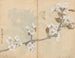 Carnet de croquis Pl006 - Ariyoshi Kondo — visning af kunstværket