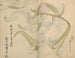 Skitsebog Pl012 - Ariyoshi Kondo — visning af kunstværket