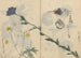 Carnet de croquis Pl013 - Ariyoshi Kondo — visning af kunstværket