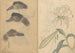 Carnet de croquis Pl014 - Ariyoshi Kondo — visning af kunstværket