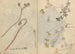 Carnet de Croquis Pl026 - Ariyoshi Kondo — visning af kunstværket