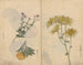 Carnet de croquis Pl027 - Ariyoshi Kondo — visning af kunstværket