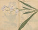 Carnet de croquis Pl031 - Ariyoshi Kondo — visning af kunstværket