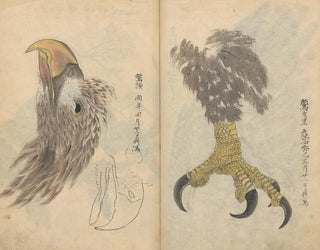 Ariyoshi Kondo - Sketchbook Pl035.webp