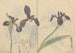 Carnet de croquis Pl037 - Ariyoshi Kondo — visning af kunstværket