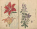 Carnet de croquis Pl046 - Ariyoshi Kondo — visning af kunstværket