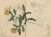 Carnet de croquis Pl052 - Ariyoshi Kondo — visning af kunstværket