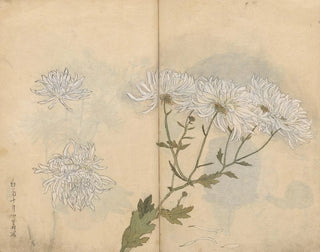 Ariyoshi Kondo - Sketchbook Pl063.webp