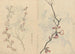 Skitsebog Pl067 - Ariyoshi Kondo — visning af kunstværket