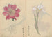 Carnet de croquis Pl071 - Ariyoshi Kondo — visning af kunstværket