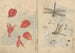 Carnet de croquis Pl076 - Ariyoshi Kondo — visning af kunstværket