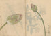 Carnet de Croquis Pl078 - Ariyoshi Kondo — visning af kunstværket