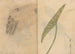 Carnet de croquis Pl084 - Ariyoshi Kondo — visning af kunstværket