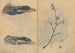 Skitsebog Pl086 - Ariyoshi Kondo — visning af kunstværket