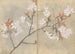 Carnet de croquis Pl088 - Ariyoshi Kondo — visning af kunstværket