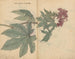 Carnet de croquis Pl095 - Ariyoshi Kondo — visning af kunstværket