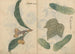 Skitsebog Pl101 - Ariyoshi Kondo — visning af kunstværket