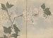 Carnet de croquis Pl105 - Ariyoshi Kondo — visning af kunstværket