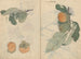 Carnet de croquis Pl106 - Ariyoshi Kondo — visning af kunstværket