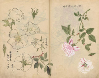 Carnet de croquis Pl107 - Ariyoshi Kondo — visning af kunstværket