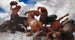Bataille du Centaure - Arnold Böcklin — visning af kunstværket
