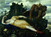 Diane endormie overvåget af to fauner - Arnold Böcklin — visning af kunstværket
