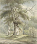 Vue sur la skov - Arnoldus Johannes Eymer — visning af kunstværket