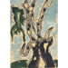Reproduktion af maleriet Sycomore - Arthur Dove