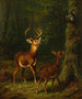 La forêt des Adirondacks - Arthur Fitzwilliam Tait — visning af kunstværket