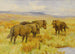 Poneys Shetland - Arthur Wardle — visning af kunstværket