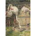Tre rosa flamingoer ved en dam - August Allebé — visning af kunstværket