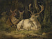 Daim - August Schleich — visning af kunstværket