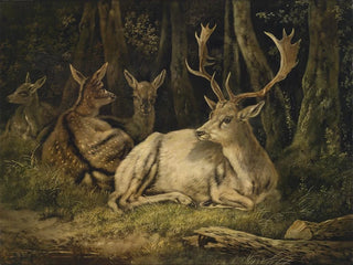 Daim - August Schleich — visning af kunstværket