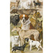 Reproduktion af maleriet Hunde-studier - August Specht