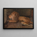 Løve på Artis Amsterdam - Auguste Allébé — indrammet kunstværk på væggen