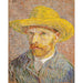 Reproduktion af maleriet Selvportræt med stråhat - Vincent van Gogh