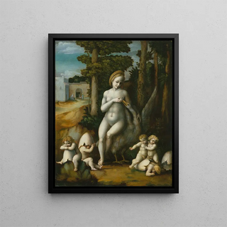 Bacchiacca - Leda and the Swan.webp