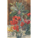 Reproduktion af maleriet Studie af valmue- og rhododendronblomster - Barbara Elisabeth van Houten
