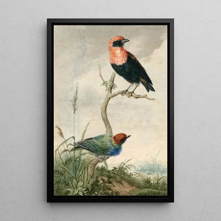 Barend Hendrik Thier - Two tropical birds.webp