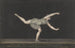 Danseuse Annette Kübler du Pas de Zéphyr udfører - Bartholomeus Ziesenis — visning af kunstværket