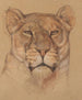 Tête de lionne - Bernard Willem Wierink — visning af kunstværket