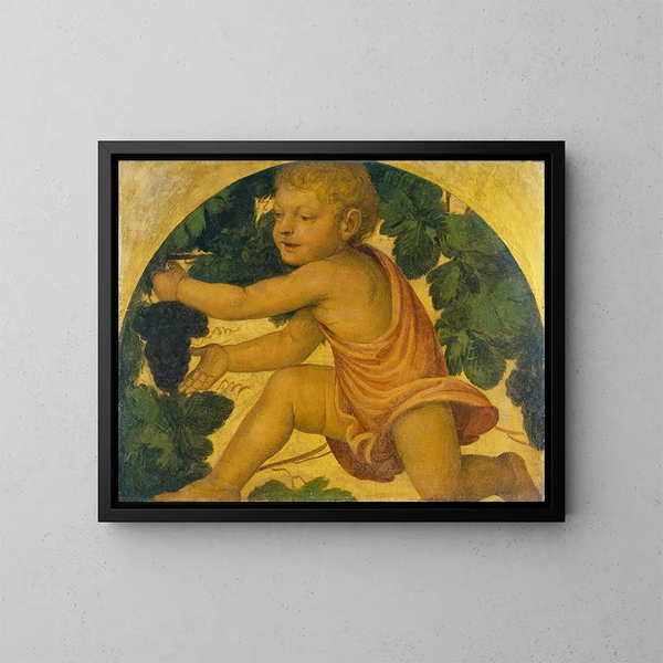 Putto, der plukker druer - Bernardino Luini — indrammet kunstværk på væggen