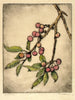 Cerises de mai - Bertha Jaques — visning af kunstværket
